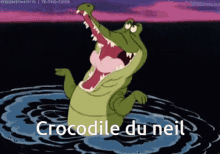 Neil Crocodile GIF - Neil Crocodile Nile GIFs