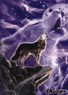 Howl To The Other Side Wolf GIF - Howl To The Other Side Wolf GIFs