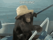 Boat Monkey Driving GIF - Boat Monkey Driving Monkey GIFs