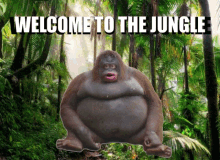 Welcome To The Jungle Stinky Monkey GIF - Welcome To The Jungle Stinky Monkey Le Monkey GIFs