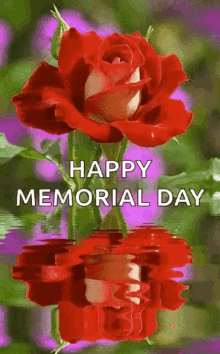 Happy Memorial Day Flowers GIF - Happy Memorial Day Flowers Holiday GIFs