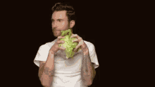 adam levine cabbage