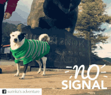 Dog No Signal GIF - Dog No Signal Surinka GIFs