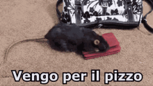 pizzo pay mafia camorra mouse