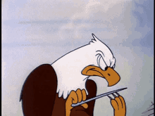 águia Eagle GIF - águia Eagle Bird GIFs