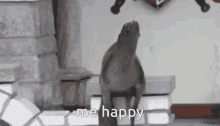 Me Happy Seal GIF - Me Happy Seal Excited GIFs