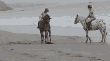 Yeap Horse GIF - Yeap Horse Horse Hop GIFs