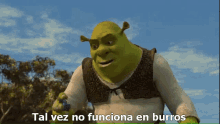 Tal Vez No Funciona En Burros Burro Shrek2 GIF - Tal Vez No Funciona En Burros En Burros Burro Shrek2 GIFs