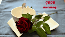Good Morning Red Rose GIF - Good Morning Red Rose Heart GIFs