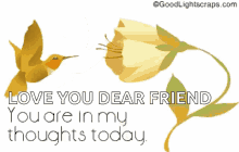 Love You You Are In My Thoughts Today GIF - Love You You Are In My Thoughts Today Hummingbird GIFs