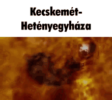 Hetény Heteny GIF - Hetény Heteny Hetenyegyhaza GIFs