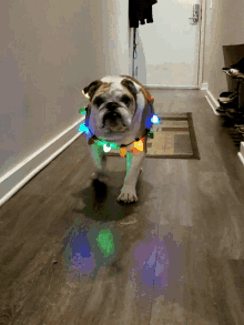 Merry Christmas Dog GIF - Merry Christmas Dog Bulldog GIFs