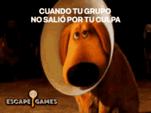 Cone Of Shame Up GIF - Cone Of Shame Up Escape Games GIFs