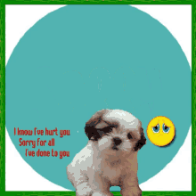 Sorry Sad Puppy GIF - Sorry Sad Puppy So Sorry GIFs
