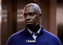 Already Know GIF - Andre Braugher I Know Eyebrow Raise GIFs