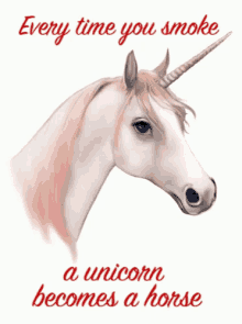 unicorn smoking unicorn becomes a horse sad crying