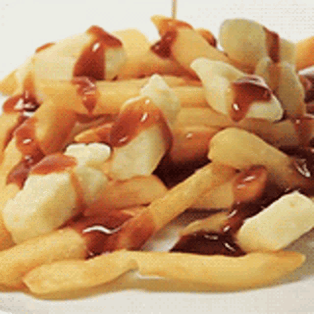 https://c.tenor.com/hKl3hQutlE0AAAAd/poutine-canadian.gif