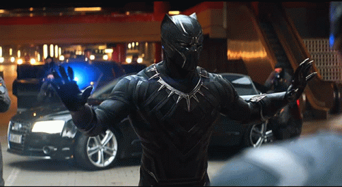 Black Panther : แบล็ค แพนเธอร์ 