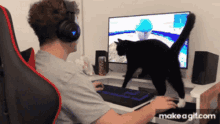 funny cat norman norman fait des vid%C3%A9os merlin funny animals funny cat norman norman fait des vid%C3%A9os merlin funny animals