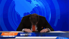 Reporter Why GIF - Reporter Why Head Bang GIFs