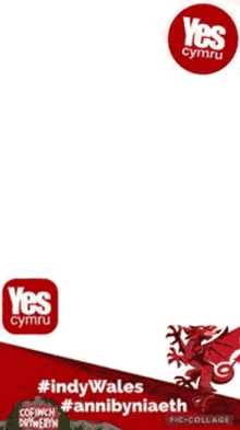Yes Cym GIF - Yes Cym Cymru GIFs