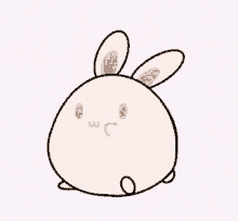 Bunny Cute GIF - Bunny Cute Cute Bunny GIFs