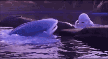 Finding Dory GIF - Finding Dory Bailey GIFs