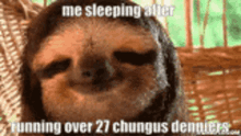 Me Sleeping After Running Over Chungus Deniers Sloth GIF - Me Sleeping After Running Over Chungus Deniers Sloth Osu GIFs