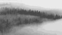 Fog Mountains GIF - Fog Mountains Trees GIFs