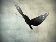 Stay Free Fly Free And Die Free GIF - Stay Free Fly Free And Die Free GIFs