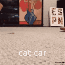 Cat Car GIF - Cat Car Cat Car GIFs
