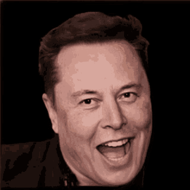 Elon Musk Aaaa GIF - Elon Musk Elon Aaaa GIFs