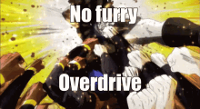 No Furry Overdrive GIF - No Furry Overdrive Hamon GIFs