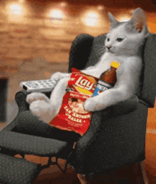 Cat Chilling GIF - Cat Chilling Relaxing GIFs