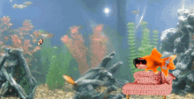 clonekorp clone fish twitch wtf what the fuck