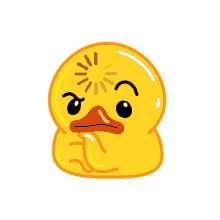 kaczka duck
