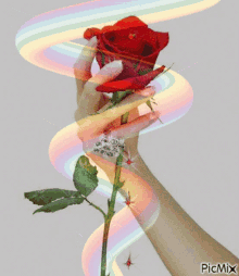 Rosa En La Mano Roses GIF - Rosa En La Mano Roses Hand GIFs