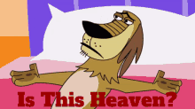 Johnny Test Dukey GIF - Johnny Test Dukey Is This Heaven GIFs