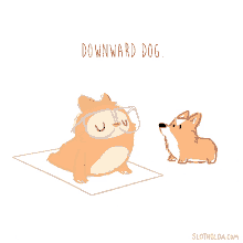 Yoga Dog Yoga GIF - Yoga Dog Yoga Downward Dog GIFs