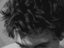 animal collective panda bear noah lennox animal collective panda bear noah lennox
