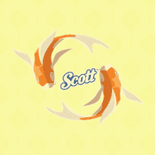 my scott cny scott cny fish