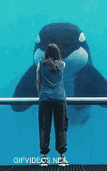 Seaworld Killer Whale GIF - Seaworld Killer Whale Orca GIFs
