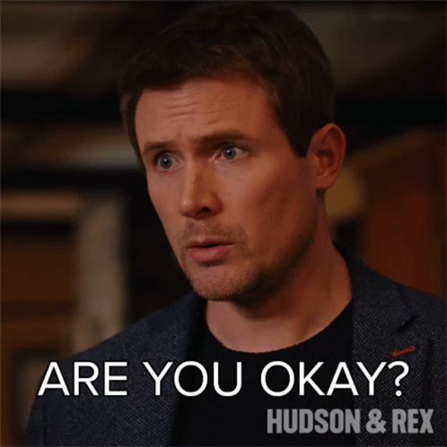 Are You Okay Charlie Hudson GIF - Are You Okay Charlie Hudson Hudson And Rex GIFs
