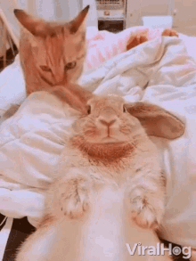 Bath Time Cleaning GIF - Bath Time Cleaning Cute GIFs