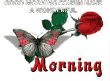 Morning Butterfly GIF - Morning Butterfly Rose GIFs