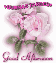 Buenas Tardes Good Afternoon GIF - Buenas Tardes Good Afternoon Rose GIFs