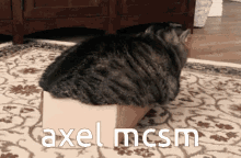 Axel Mcsm GIF - Axel Mcsm Minecraft Story Mode GIFs