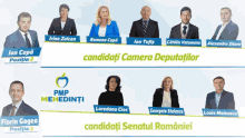 pmp votez election ion cupa florin gagea
