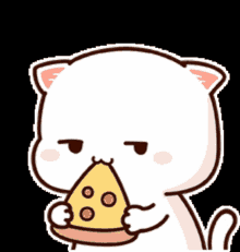 Cute Cat Pizza GIF - Cute Cat Pizza ճուտիկ GIFs