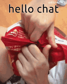 Hello Chat Discord GIF - Hello Chat Discord Cat GIFs